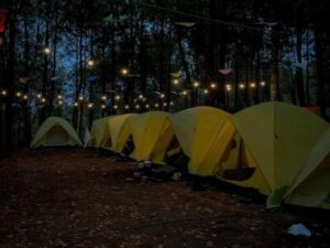 Kebun Rojo Camp saat malam hari dengan cahaya lembut dari tenda-tenda di tengah suasana alam yang sunyi dan sejuk.