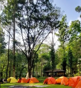 Pemandangan area camping di Taman Merak Pujon dengan hamparan rumput hijau, pepohonan rindang, dan perbukitan di kejauhan.