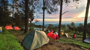 Mawar Camp Area